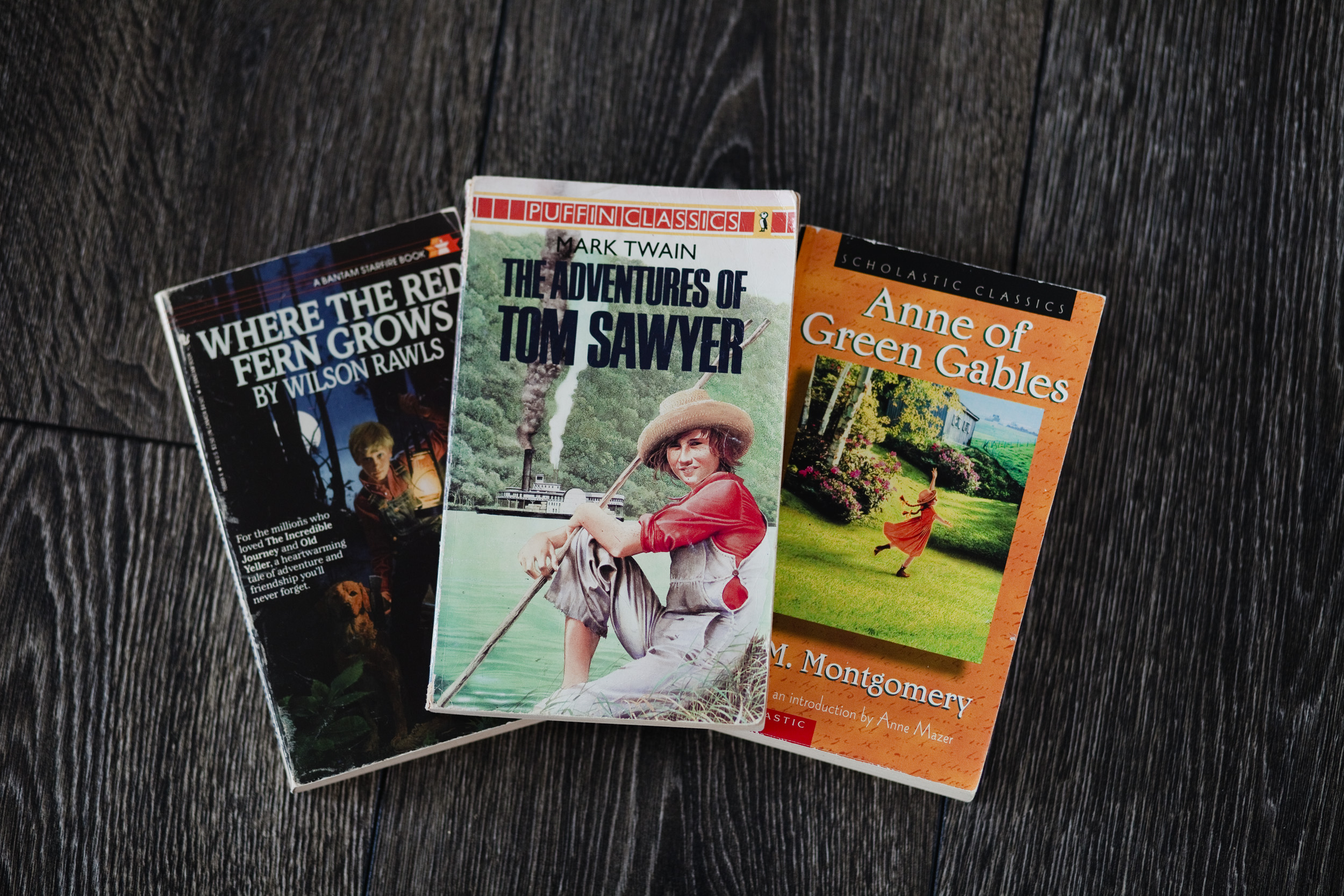 Classic Novels for grades 5 and 6. Perfect for read alouds or for them to read on their own.