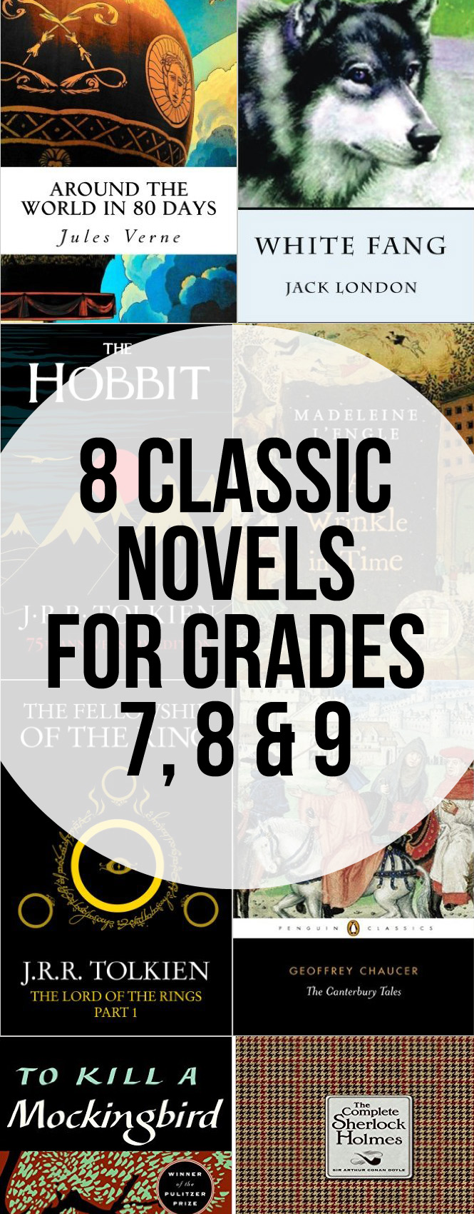 Great classic novels for grades 7, 8 & 9. Perfect for those between the middle grade and young adult novels.