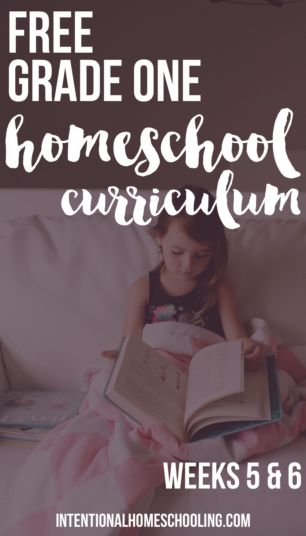 Our Homemade Grade One Homeschool Curriculum - Weeks 3 & 4 - includes Bible, writing, reading, math, science, history, geography, art and music!