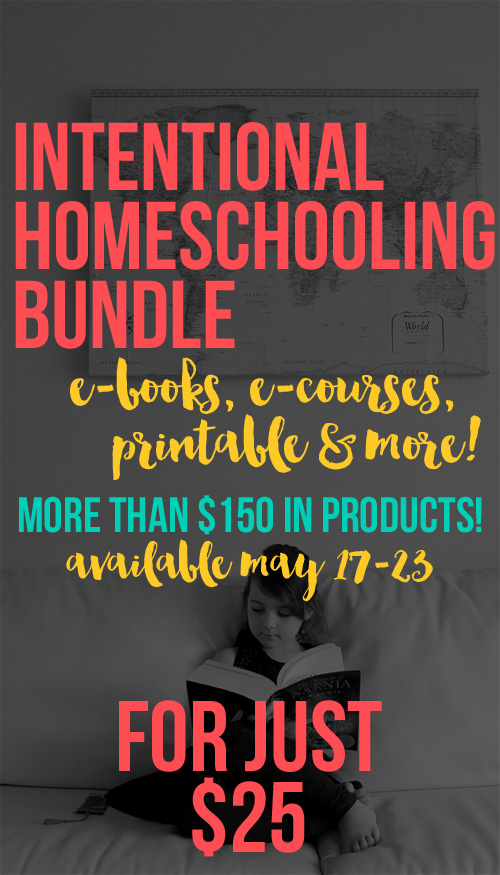 Homeschool Bundle Sale - over $160 in products for just $25!