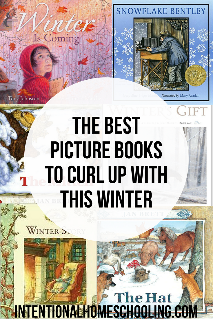 The Best Picture Books to Curl Up With This Winter