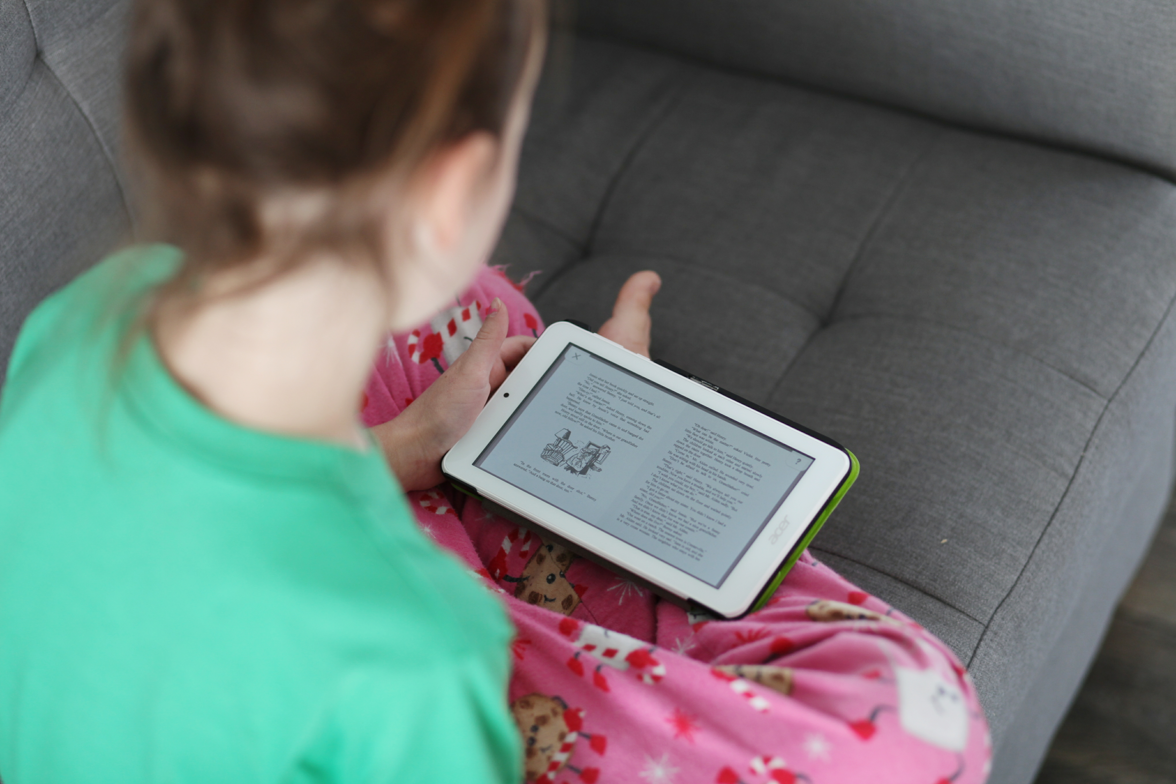 Using Digital Books in Our Homeschool - Plus while we are travelling!