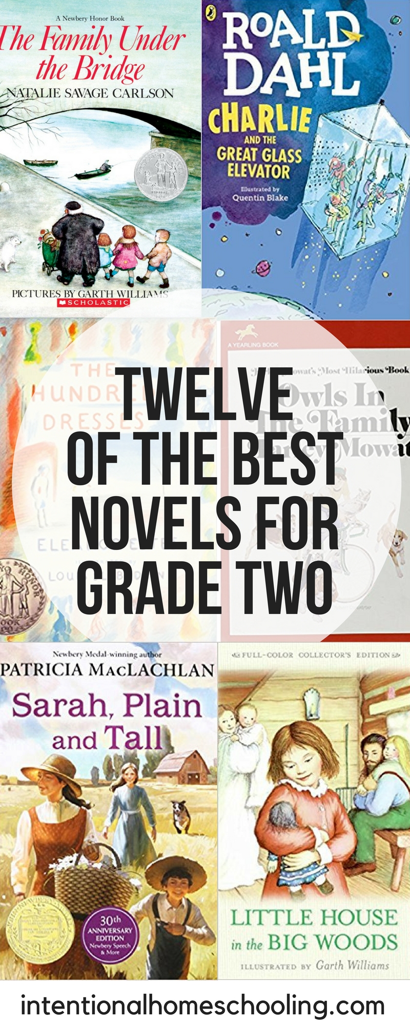 Twelve of the Best Novels for Grade Two