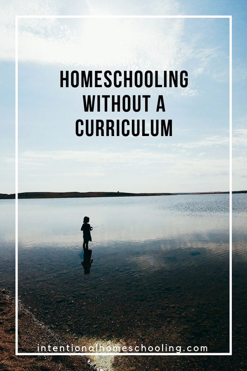 Homeschooling as a Lifestyle Workshop - how to homeschool your children without a curriculum a simple homeschooling method that builds a love for learning and strong family bonds