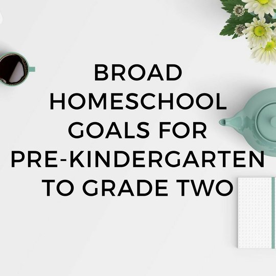Broad Homeschooling Goal List for Pre-Kindergarten to Grade Two