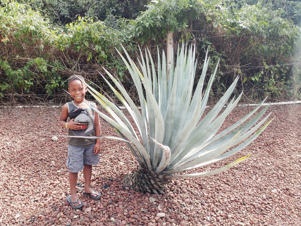 How to Teach Your Children to Love Geography and want to explore the world!