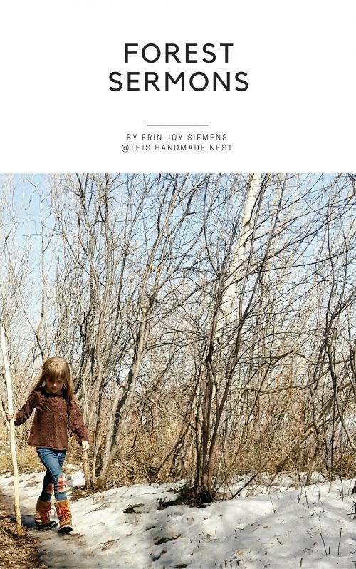 01 – Forest Sermons Intentional Homeschooling Collective - Digital Homeschool Magazine