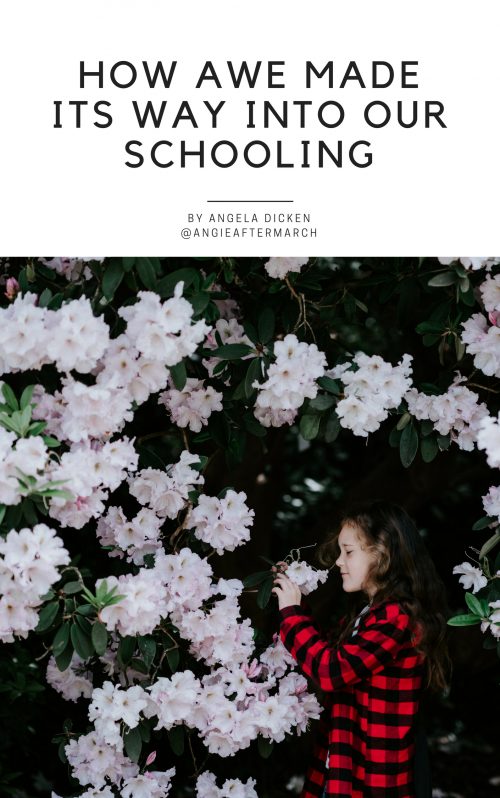 01 – How Awe Made Its Way Into Our Schooling Intentional Homeschooling Collective - Digital Homeschool Magazine