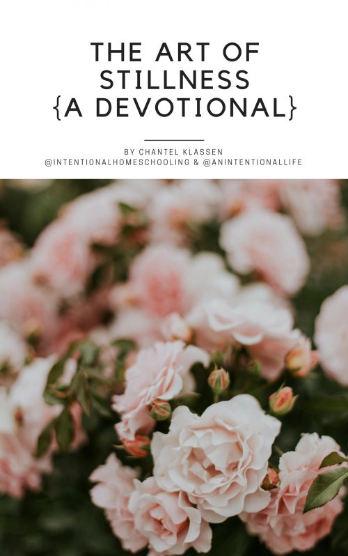 01 – The Art of Stillness Intentional Homeschooling Collective - Digital Homeschool Magazine