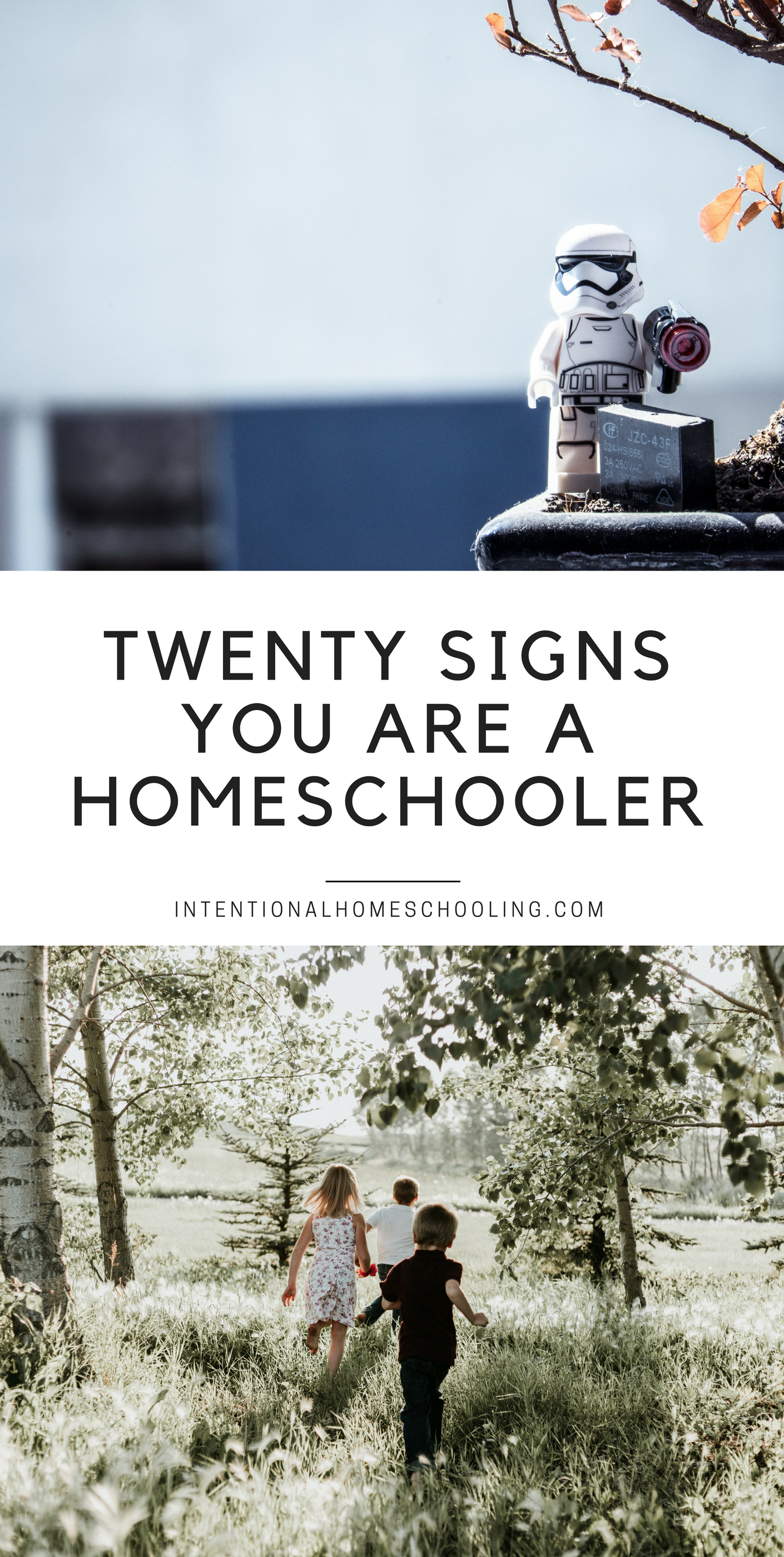 Twenty Signs You are a Homeschooler