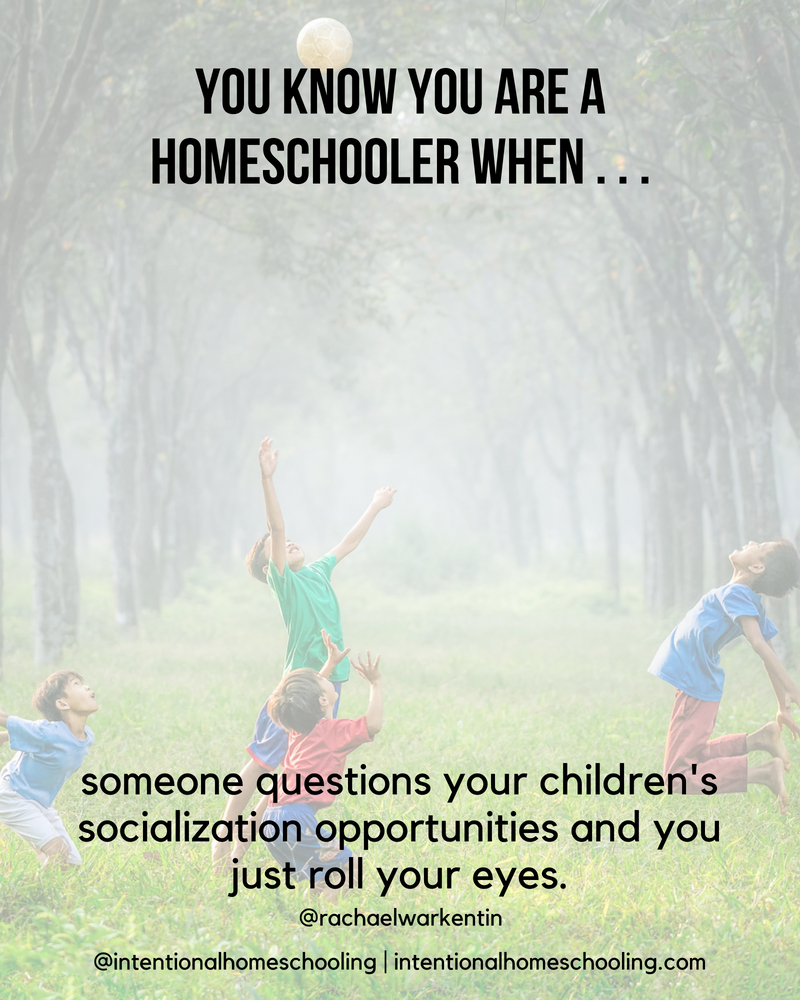 You Know You Are A Homeschooler When . . .