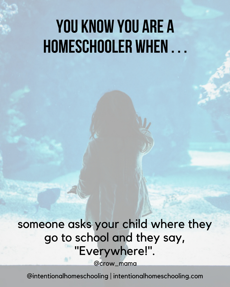 You Know You Are A Homeschooler When . . .