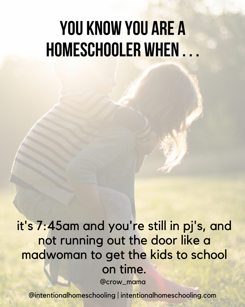 You Know You Are A Homeschooler When . . .