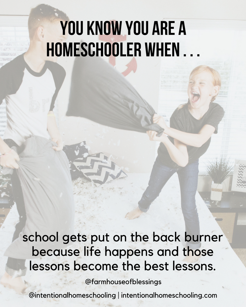 You Know You Are A Homeschooler When . . .