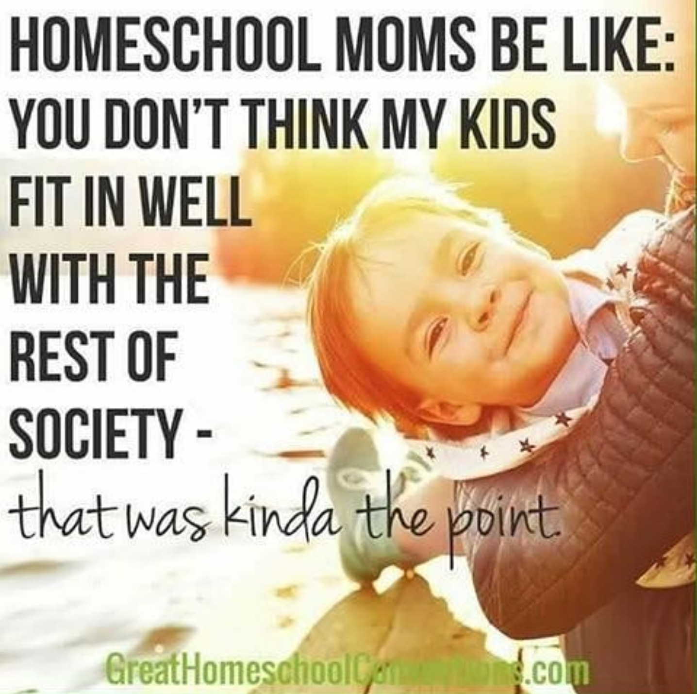 Homeschool Myth: Homeschoolers are Socially Awkward - tackling the issue of homeschooling and socialization