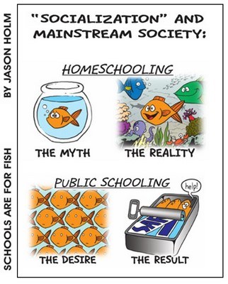 Homeschool Myth: Homeschoolers are Socially Awkward - tackling the issue of homeschooling and socialization