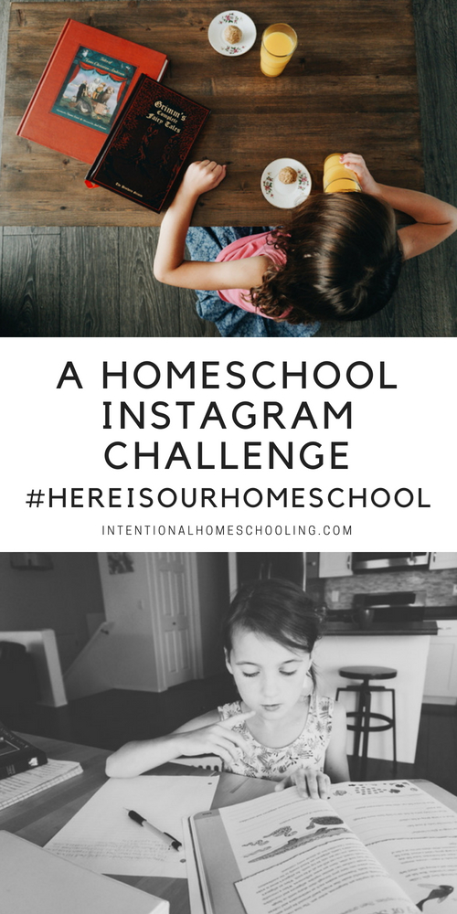 A fun, month long, Homeschool Instagram Prompt Challenge!