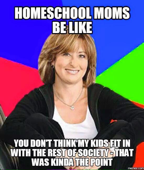 The best homeschool memes - funny, serious and sarcastic homeschool memes