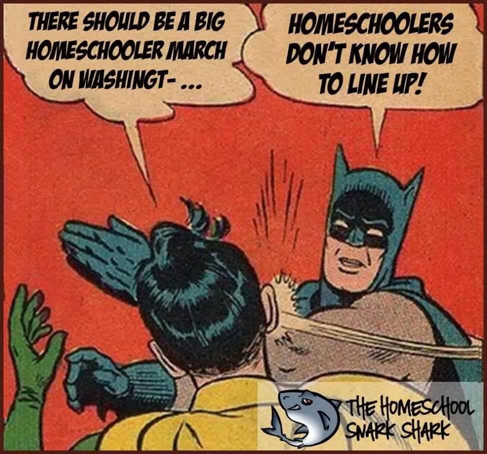 The best homeschool memes - funny, serious and sarcastic homeschool memes