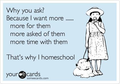 The best homeschool memes - funny, serious and sarcastic homeschool memes