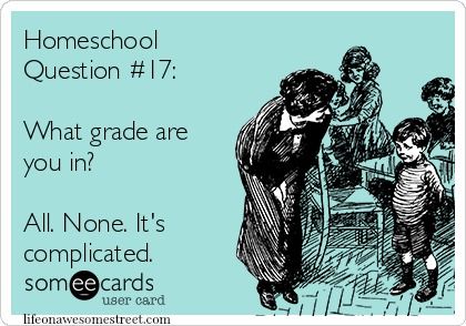 The best homeschool memes - funny, serious and sarcastic homeschool memes