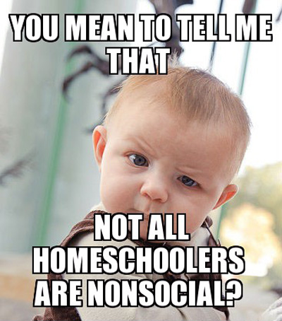 The best homeschool memes - funny, serious and sarcastic homeschool memes