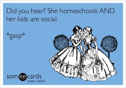 The best homeschool memes - funny, serious and sarcastic homeschool memes