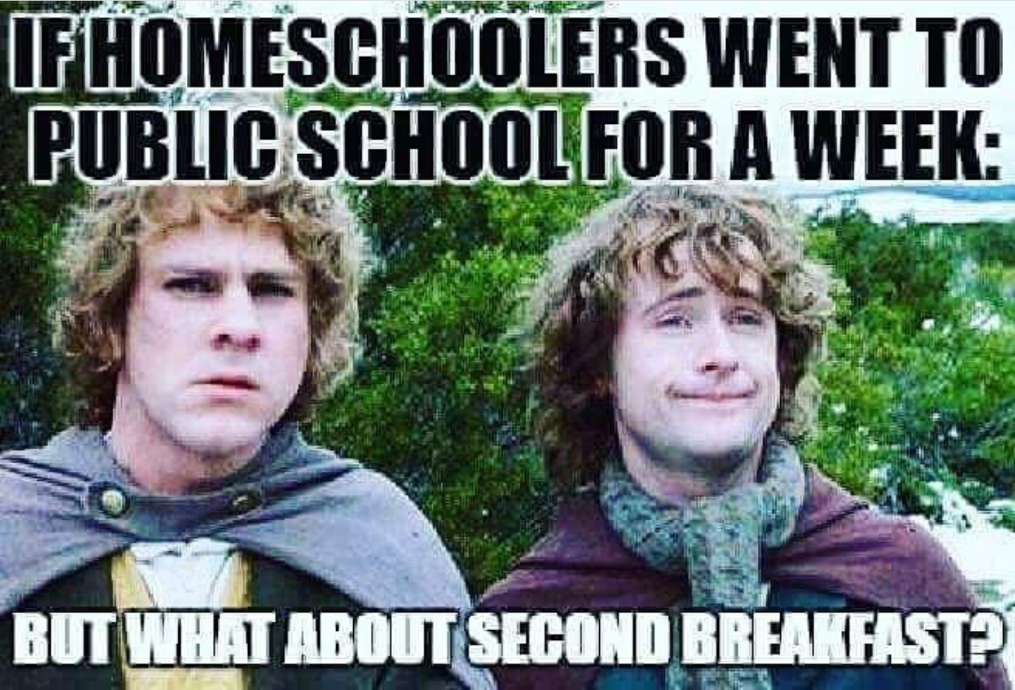 Homeschool Memes To Brighten Your Day Intentional Homeschooling