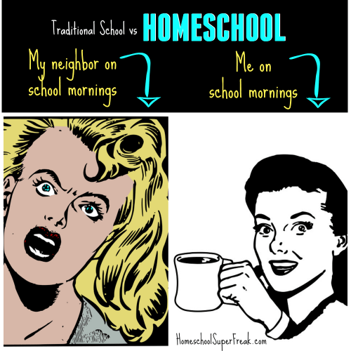 The best homeschool memes - funny, serious and sarcastic homeschool memes