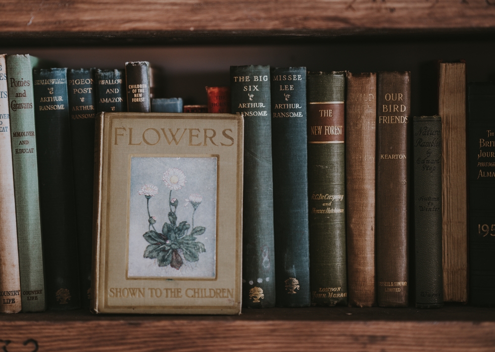 Mother Culture - the importance of making time for yourself and continuing to learn as a mom