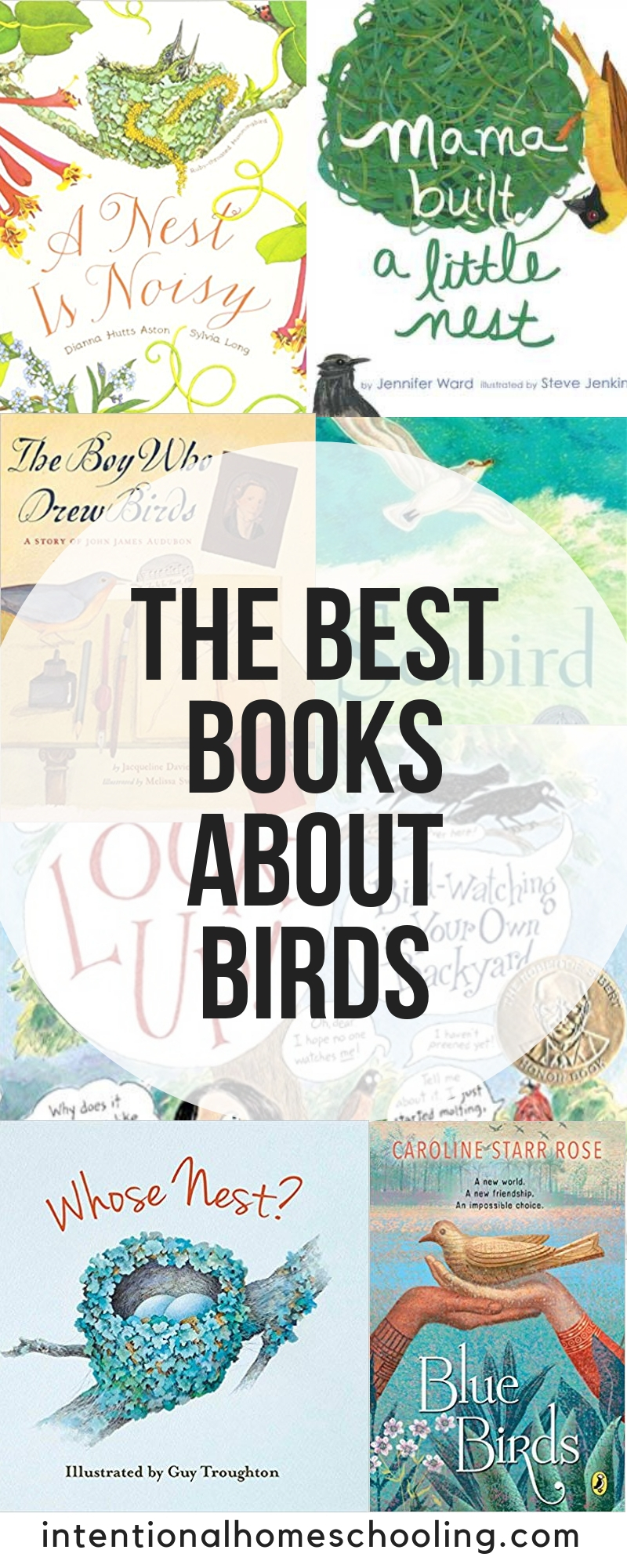 The best picture and chapter books about birds