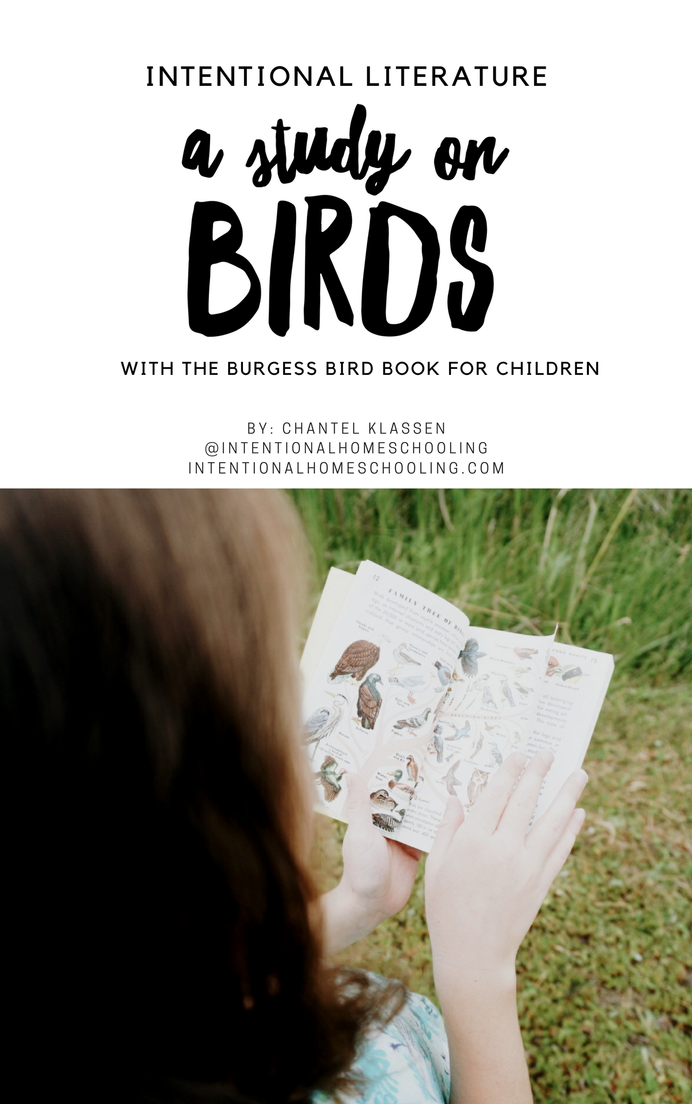 Bird Literature Guide - a literature unit study on birds using The Burgess Bird Book for Children