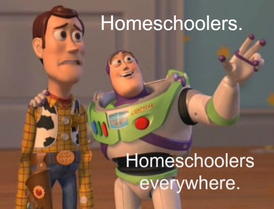 The best homeschool memes - funny, serious and sarcastic homeschool memes