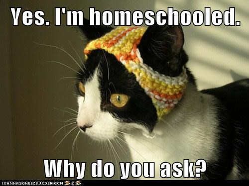 The best homeschool memes - funny, serious and sarcastic homeschool memes