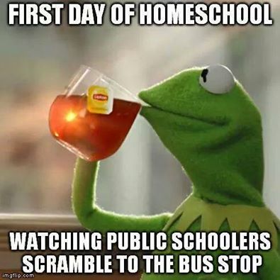 The best homeschool memes - funny, serious and sarcastic homeschool memes