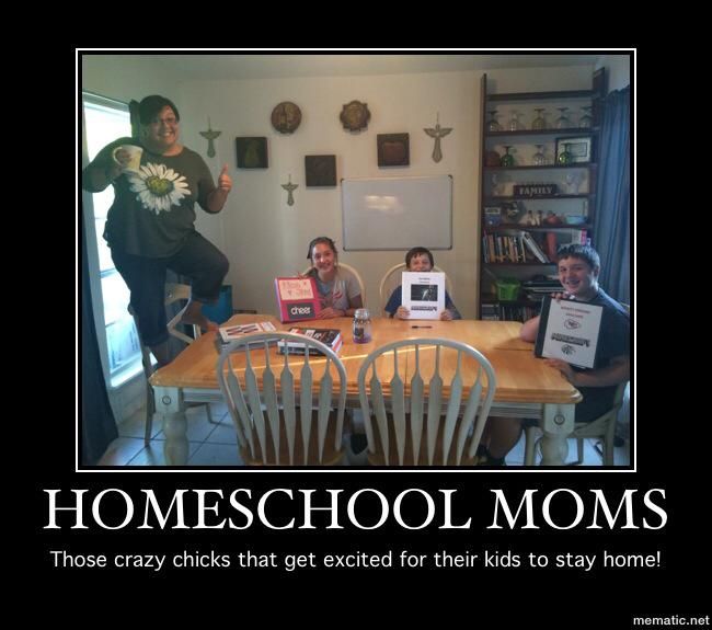 The best homeschool memes - funny, serious and sarcastic homeschool memes