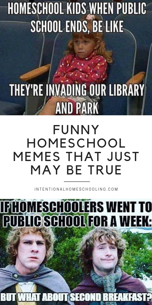 The best homeschool memes - funny, serious and sarcastic homeschool memes