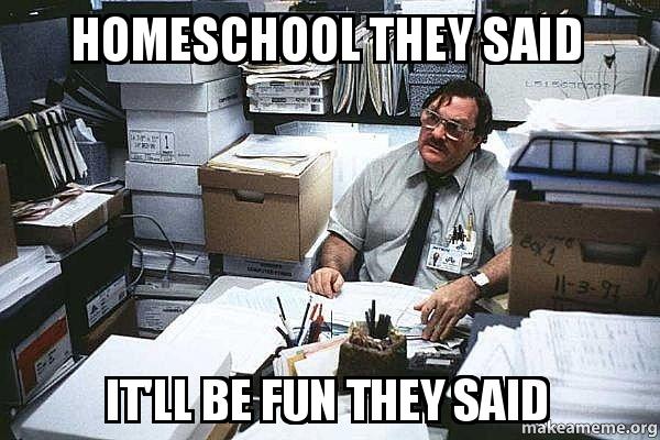 The best homeschool memes - funny, serious and sarcastic homeschool memes