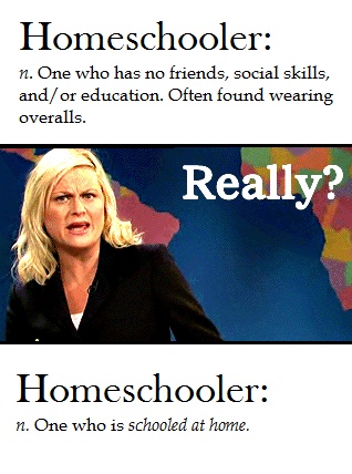 The best homeschool memes - funny, serious and sarcastic homeschool memes