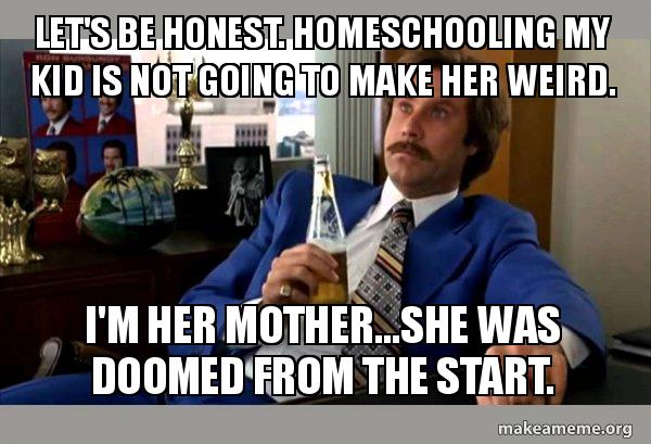 Homeschool Memes to Brighten Your Day