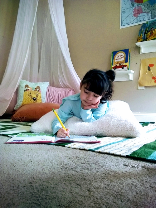 A Homeschool Interview - a peek into the lives of a homeschooling family