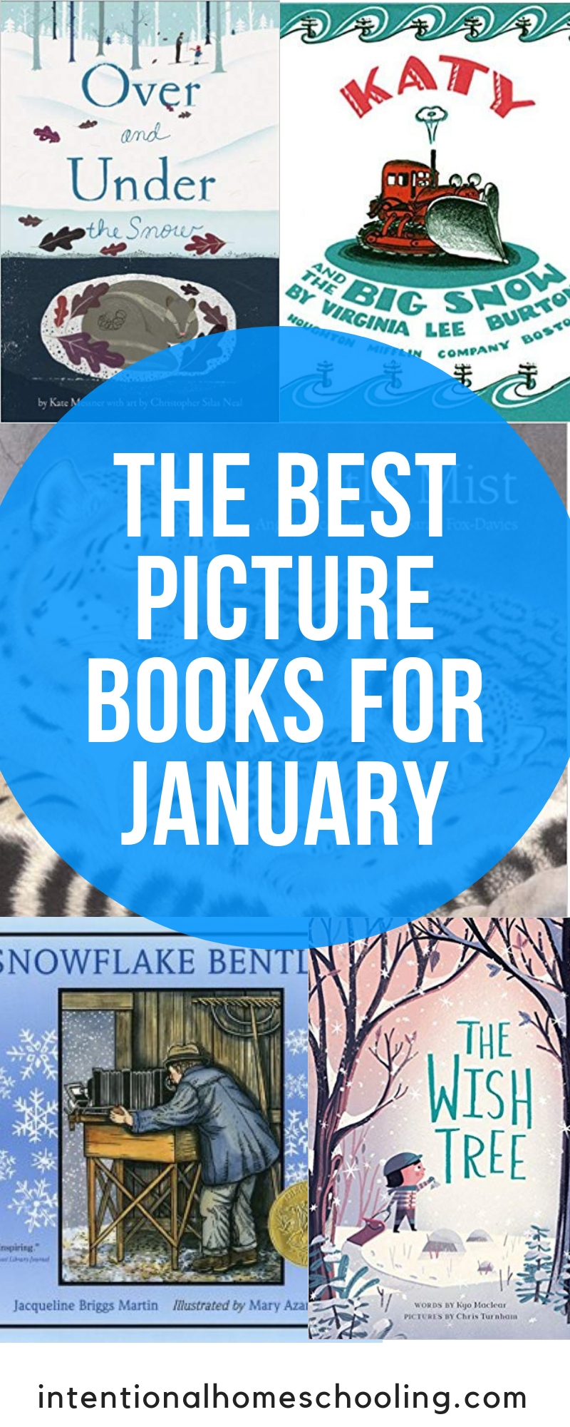 The Best Picture Books for January - books about snow and all things winter