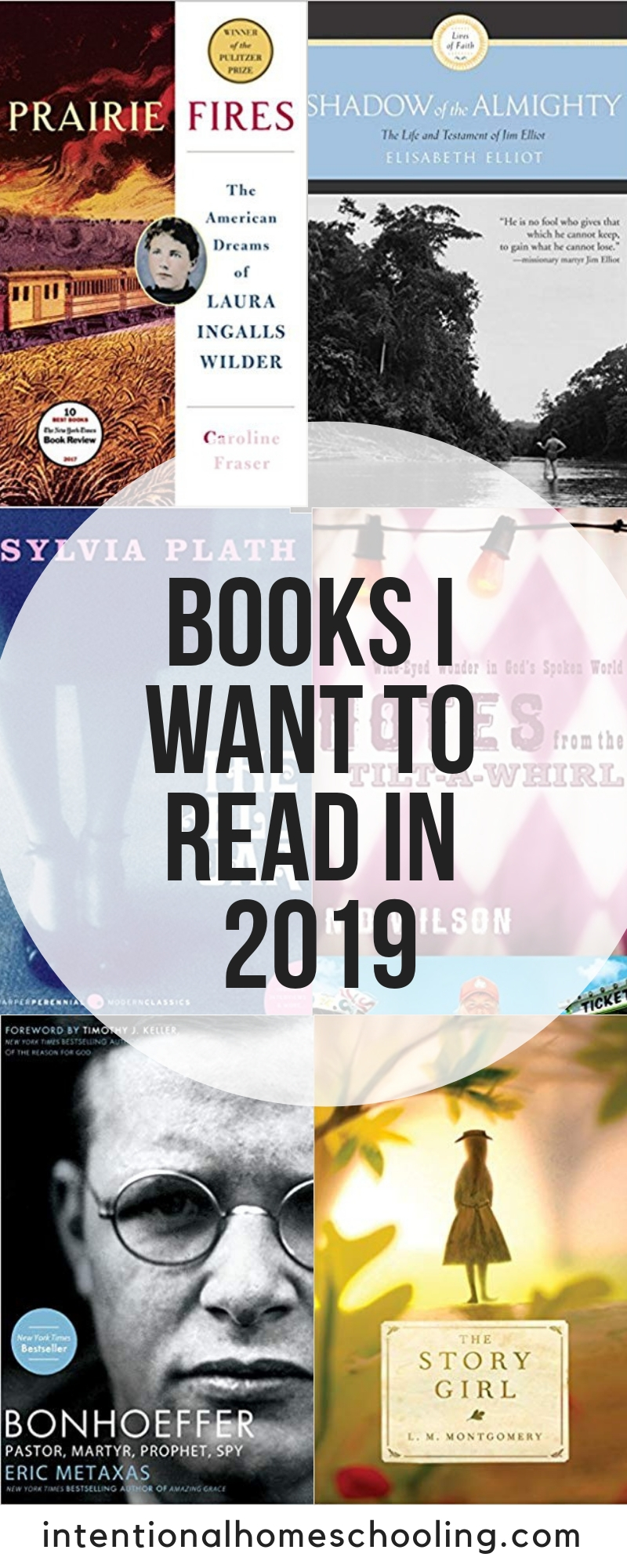 Books I want to read in 2019 - non-fiction, biographies, fiction and classics.