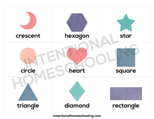 shape fc image2