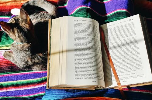 The best fiction and non-fiction chapter books I read in 2018