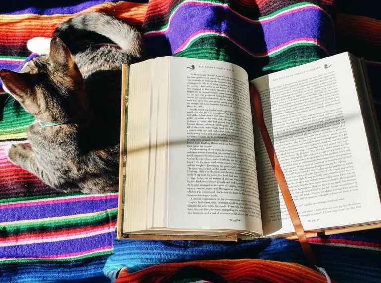 The best fiction and non-fiction chapter books I read in 2018