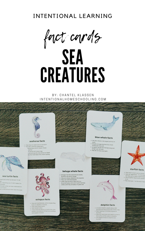 Free Sea Creature Fact Card Printable Downloads