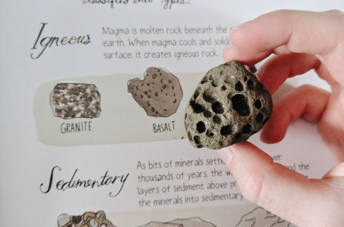 Homeschool Snapshots - using the Nature Anatomy book to identify rocks