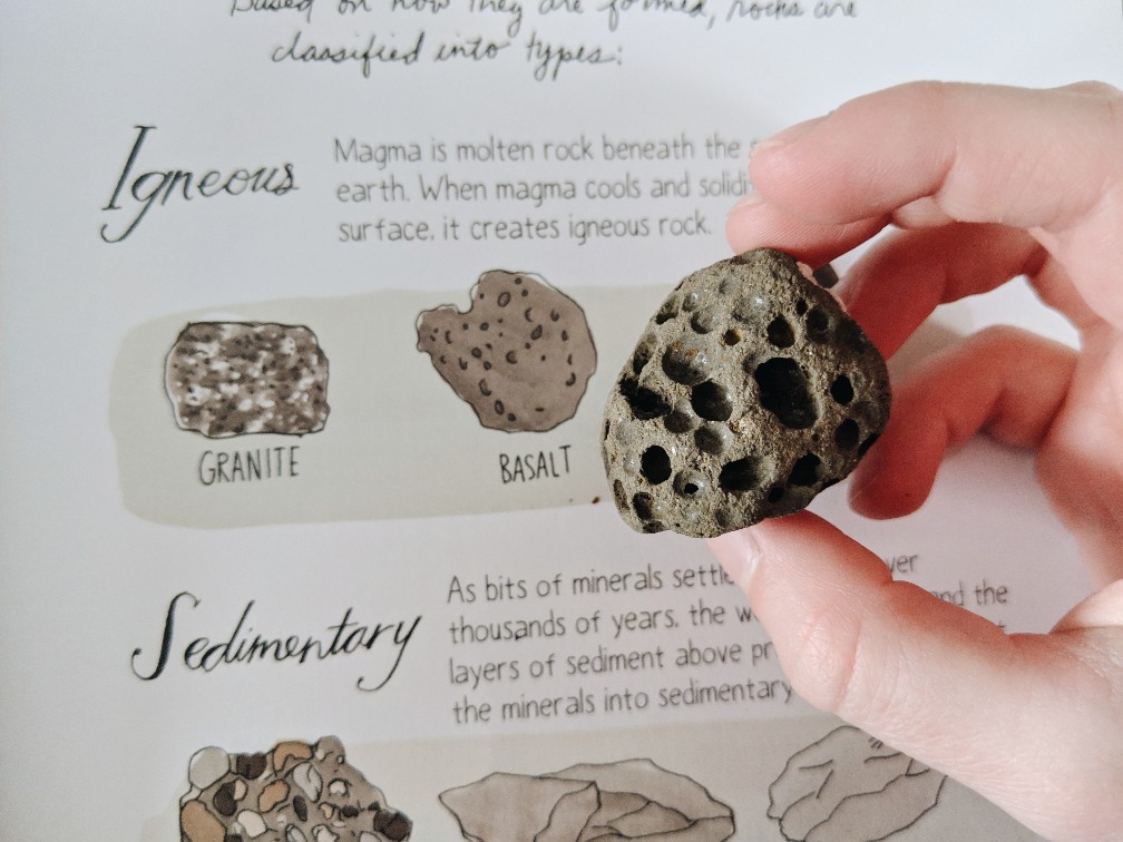 Homeschool Snapshots - using the Nature Anatomy book to identify rocks