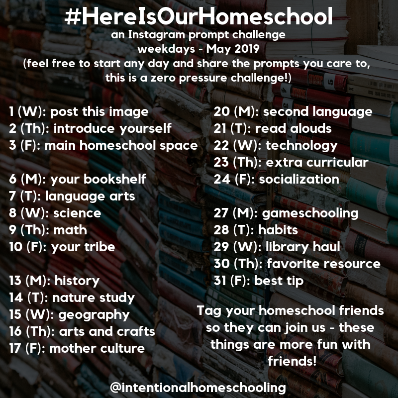 Here Is Our Homeschool - An Instagram Prompt Challenge